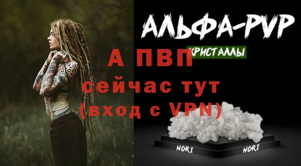 ПСИЛОЦИБИНОВЫЕ ГРИБЫ Козельск