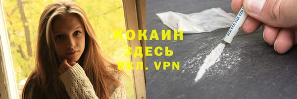 spice Кодинск