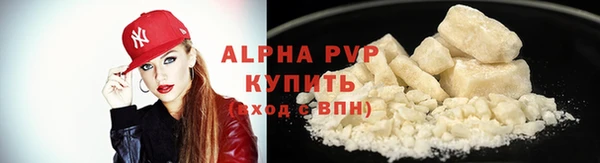 индика Костерёво