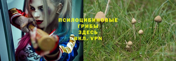 ALPHA PVP Коряжма