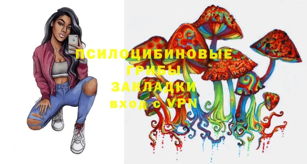 ПСИЛОЦИБИНОВЫЕ ГРИБЫ Козельск