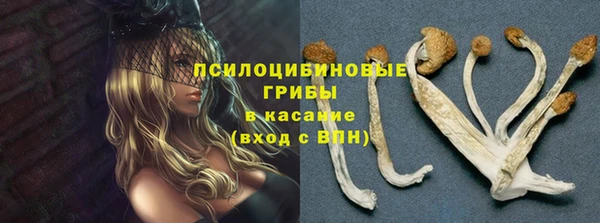 spice Кодинск